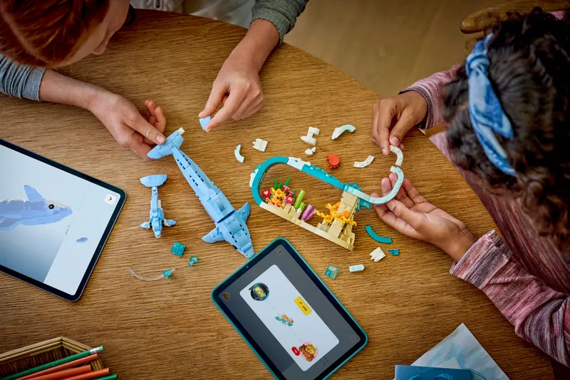 Sea Animals: Beautiful Dolphins