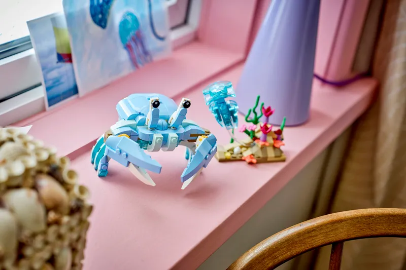 Sea Animals: Beautiful Dolphins