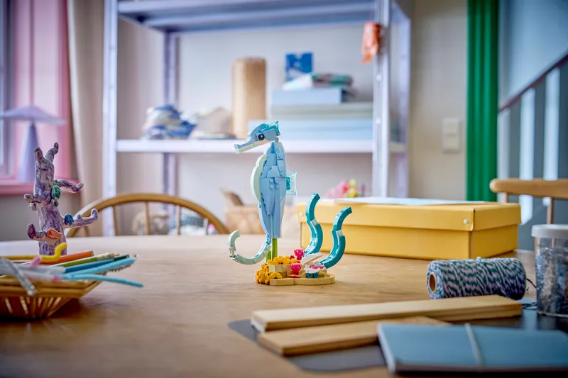 Sea Animals: Beautiful Dolphins