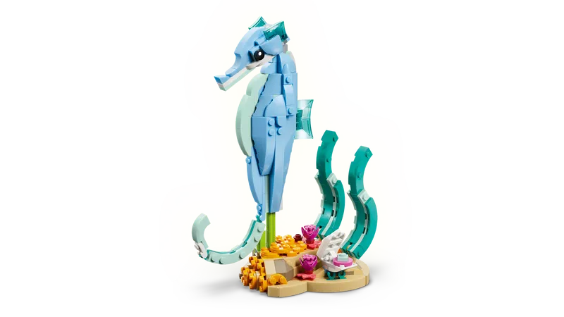 Sea Animals: Beautiful Dolphins