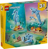 Sea Animals: Beautiful Dolphins