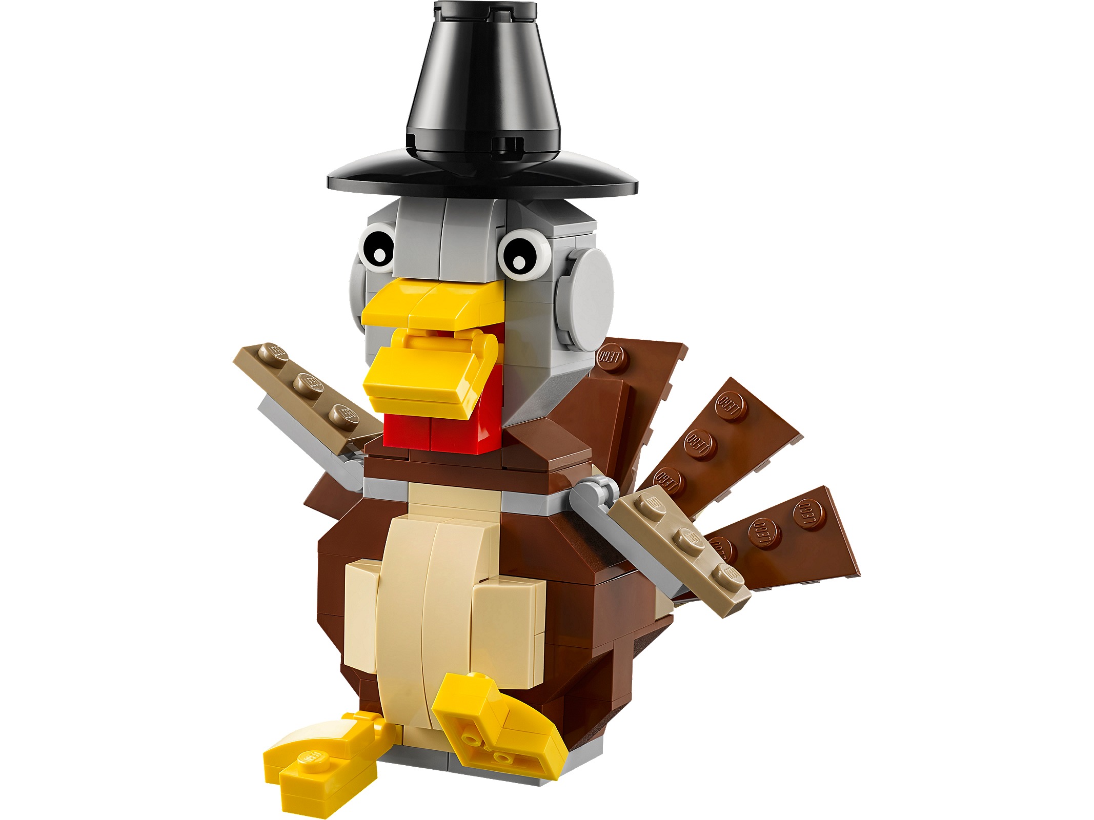 Turkey Turkey