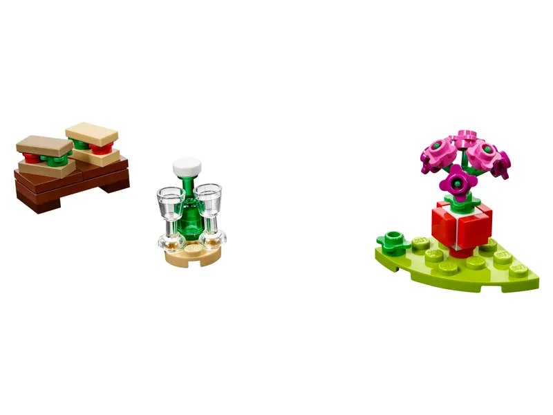Romantic Valentine Picnic