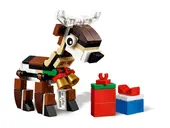 Reindeer