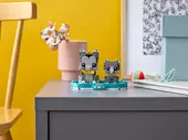 Shorthair Cat and Kitten