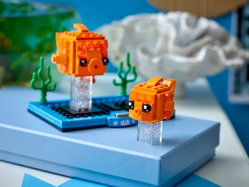 Goldfish and Fry