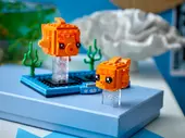 Goldfish and Fry