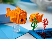 Goldfish and Fry
