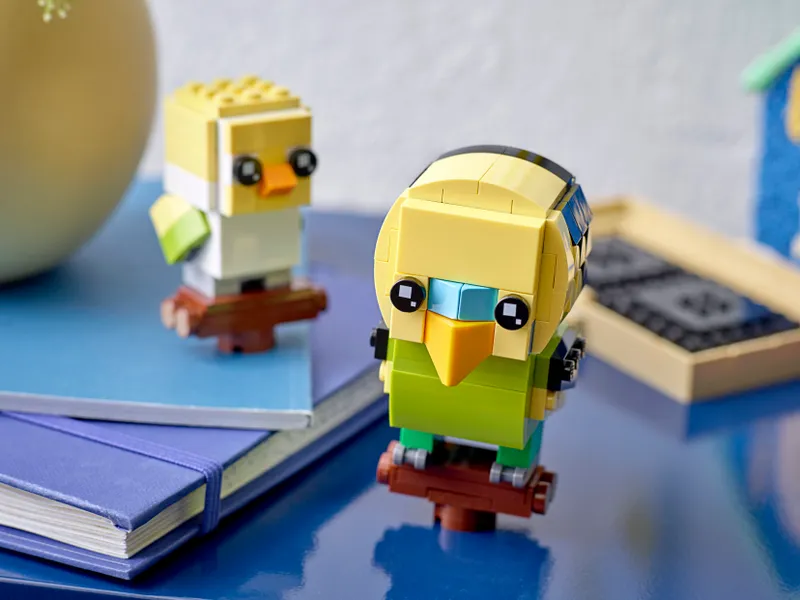Budgie and Chick