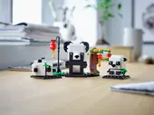 Chinese New Year Pandas