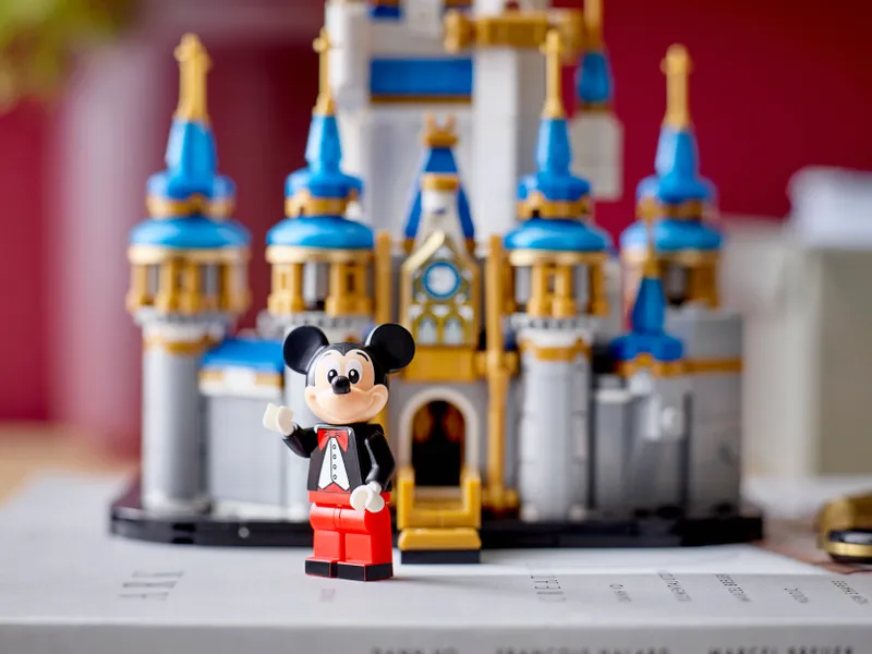 Mini Disney Castle Mini Disney Castle