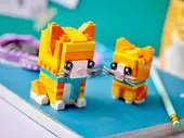 Ginger Tabby and Kitten