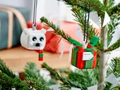 Polar Bear & Gift Pack