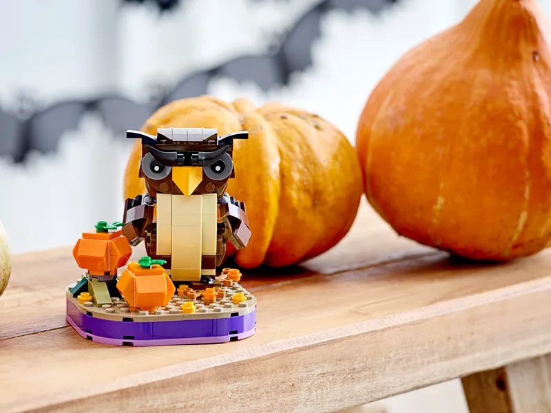 Halloween Owl Halloween Owl
