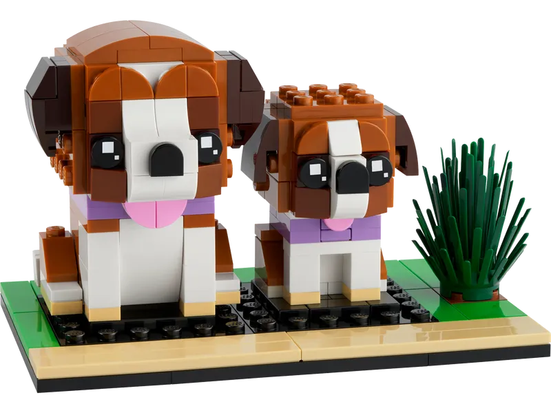 St. Bernard