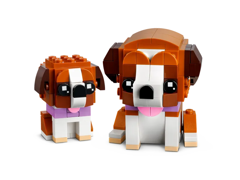 St. Bernard