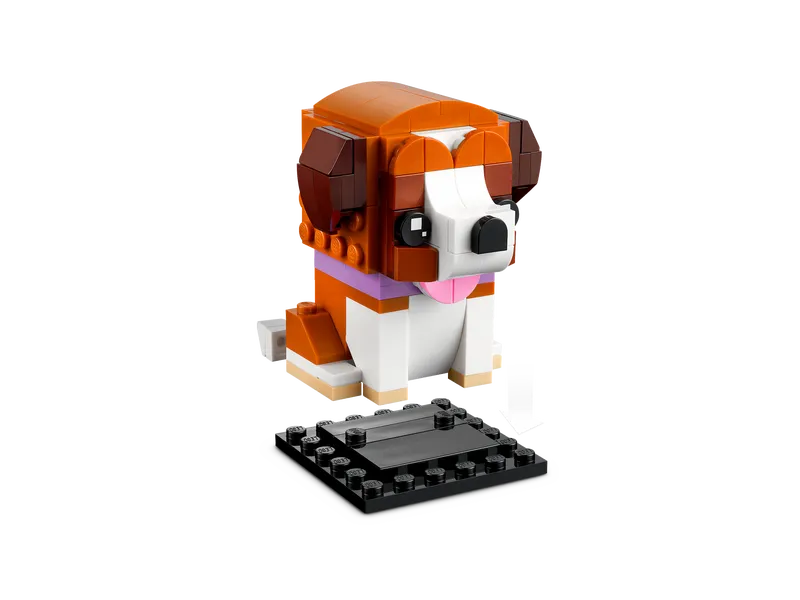 St. Bernard