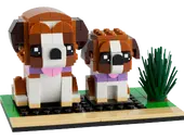 St. Bernard