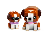St. Bernard