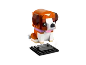 St. Bernard
