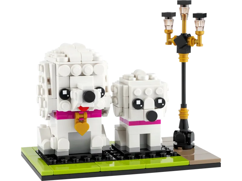 Poodle Poodle