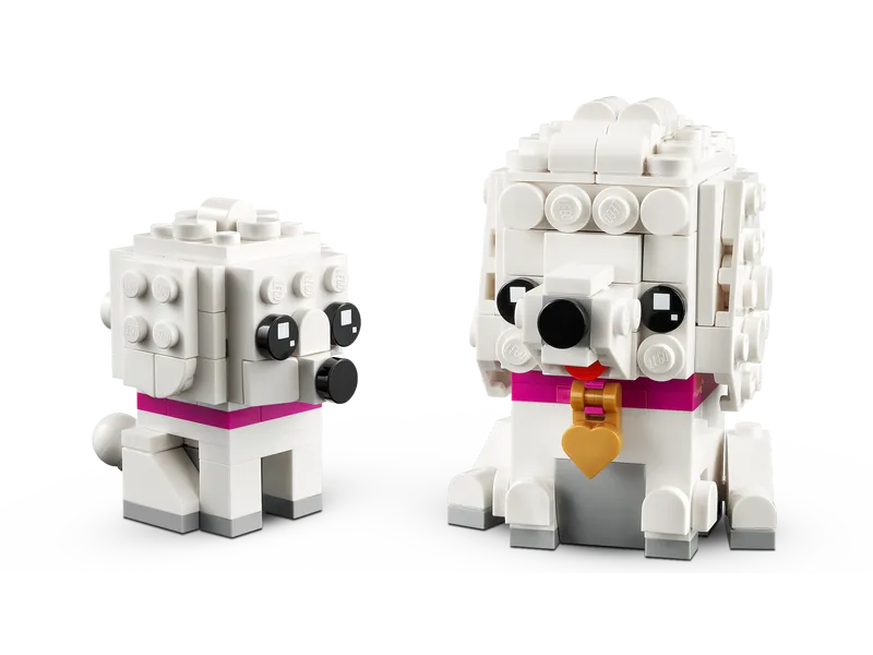 Poodle Poodle