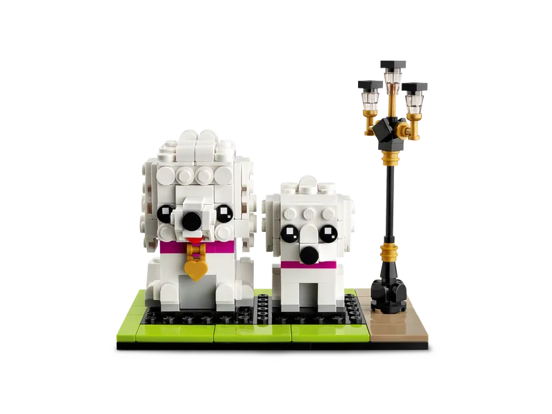 Poodle Poodle