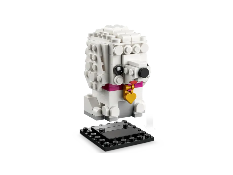 Poodle Poodle