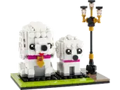 Poodle