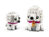 Poodle