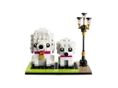 Poodle