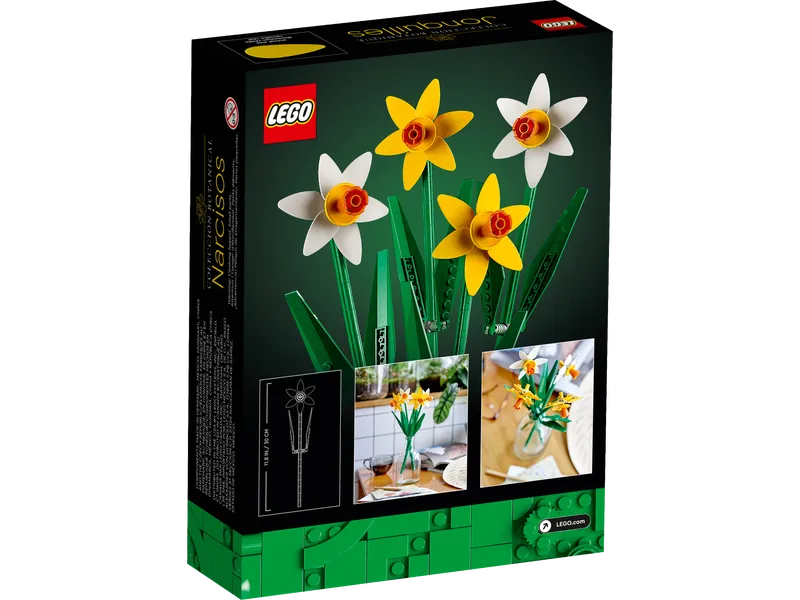 Daffodils