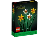 Daffodils