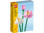 Lotus Flowers