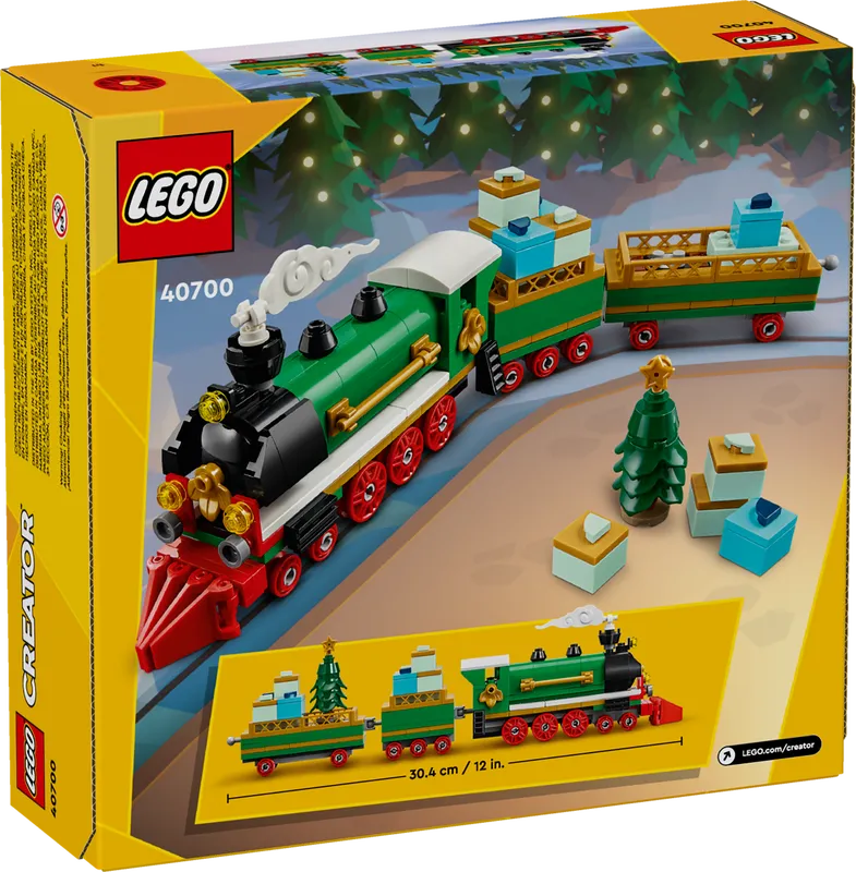 Winter Holiday Train