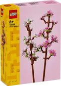 Cherry Blossoms