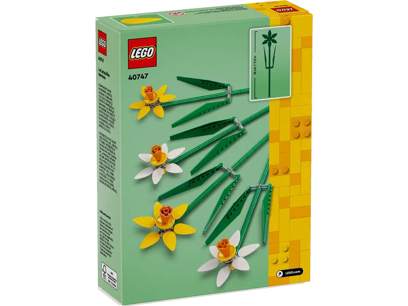 Daffodils