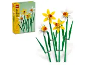 Daffodils