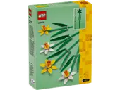 Daffodils