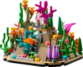 Coral Reef Diorama