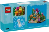 Coral Reef Diorama