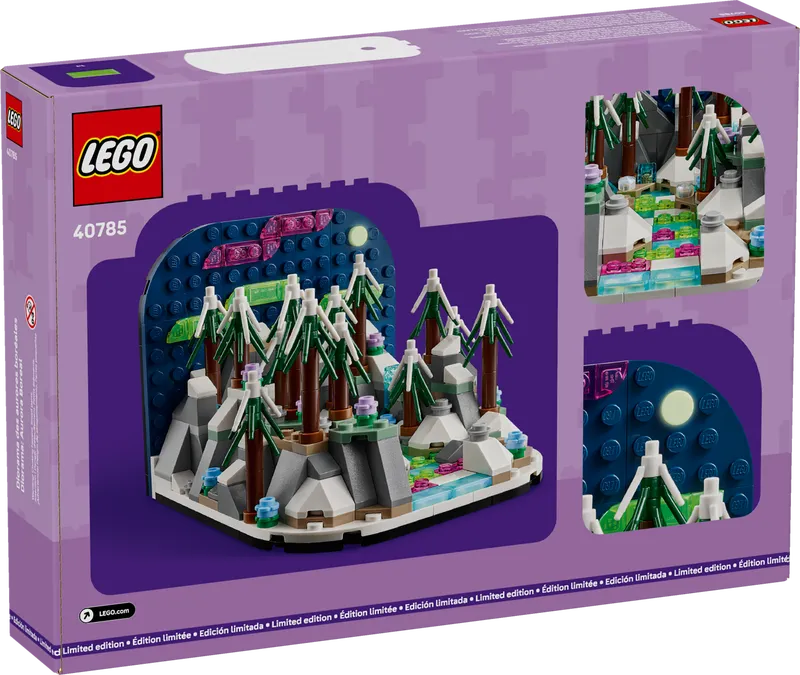 Northern Lights Diorama