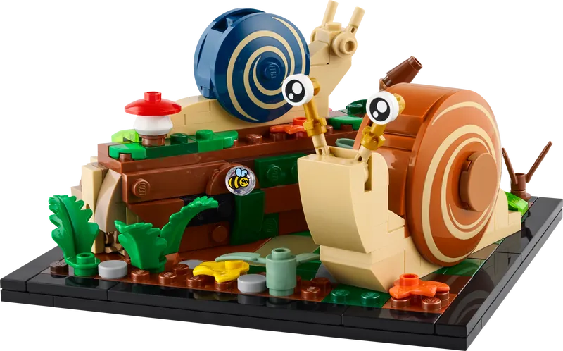 Friendly Snails