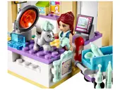 Vet Clinic
