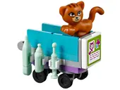 Vet Clinic