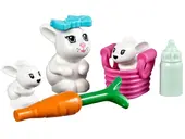 Bunny & Babies