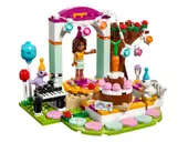 Birthday Party