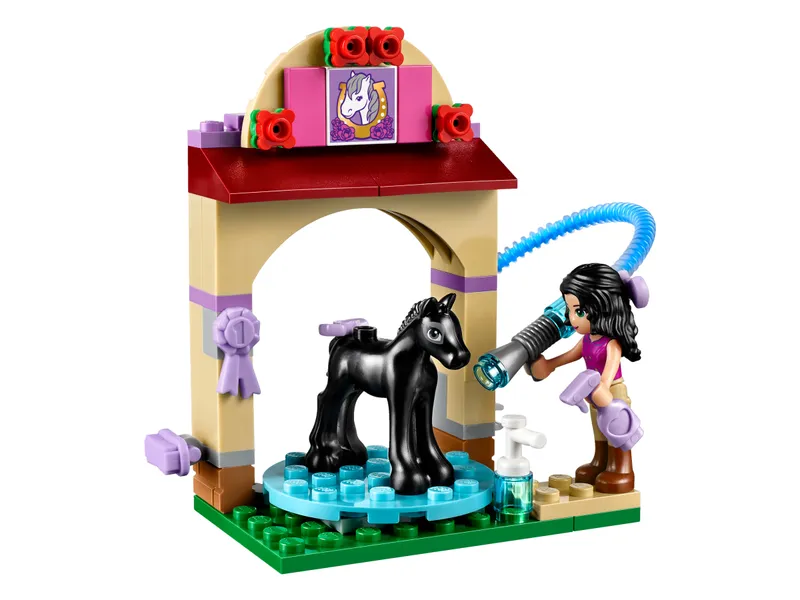 Foal's Washing Station