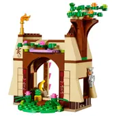 Moana's Island Adventure