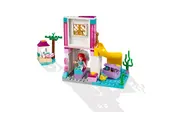 Ariel's Seaside Castle